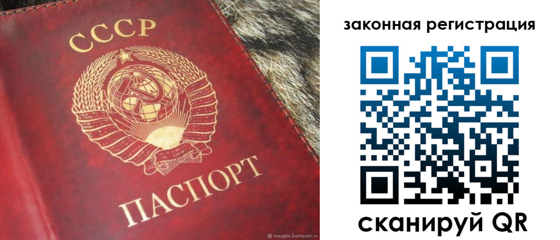 прописка от собственника в Биробиджане